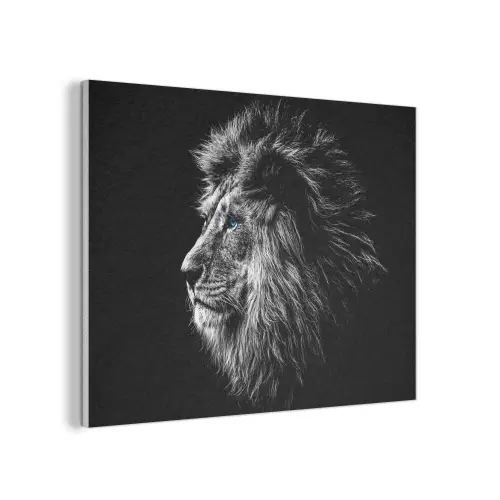 Zwart Wit - Leeuw - Kop - Dieren PET vilt klein -3d