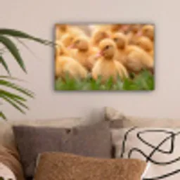 Pijltje - Eend - Natuur - Geel canvas 2cm klein -sfeer1