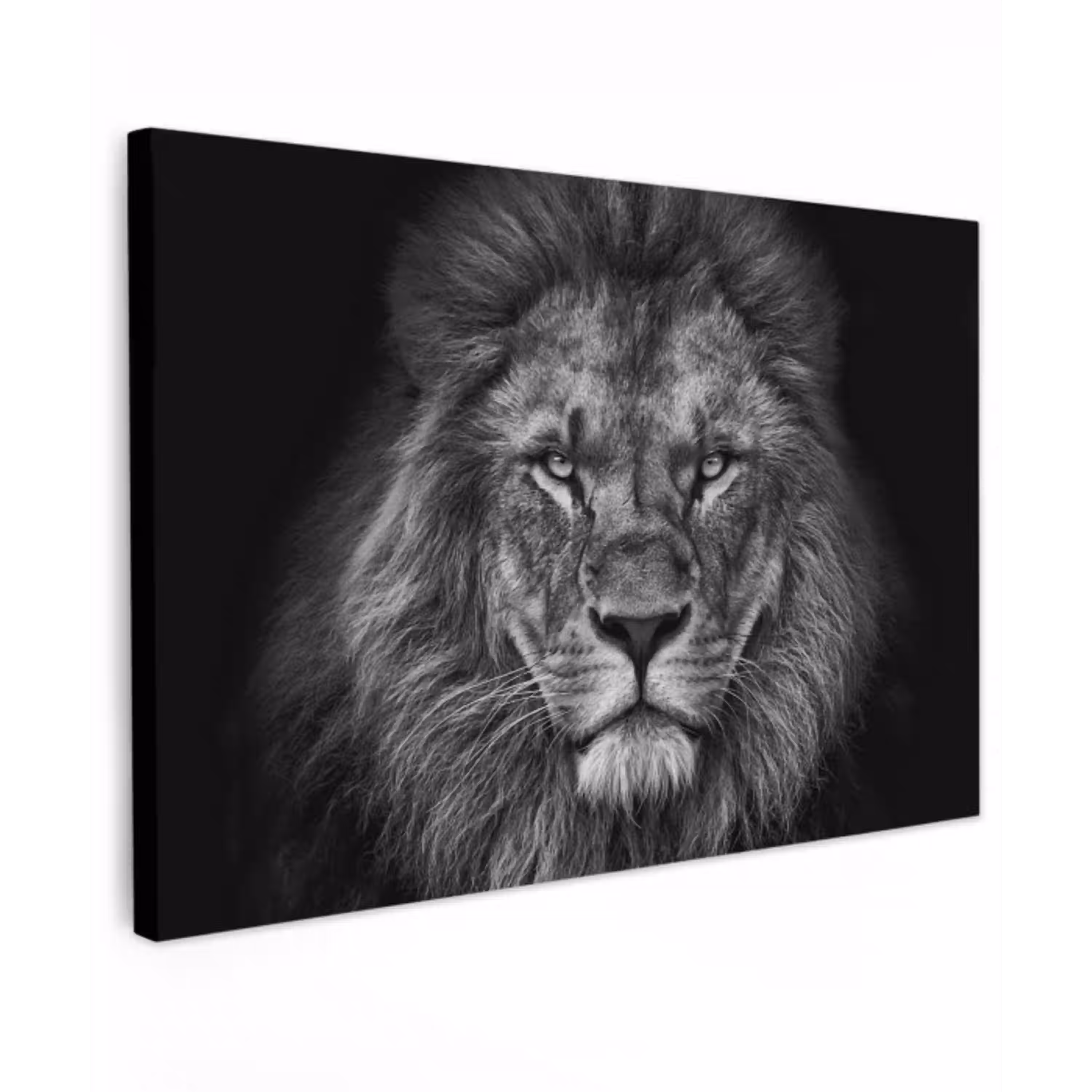 Leeuw - Dieren - Zwart - Wit canvas 2cm klein -z3d