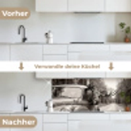 Eland - Auto - Gewei - Zwart - Wit keuken achterwand 2 middel -voor-na_DE