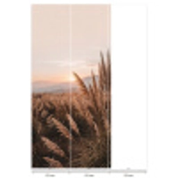Gras - Veld - Zon - Natuur Behang Vlies klein -USP_banen