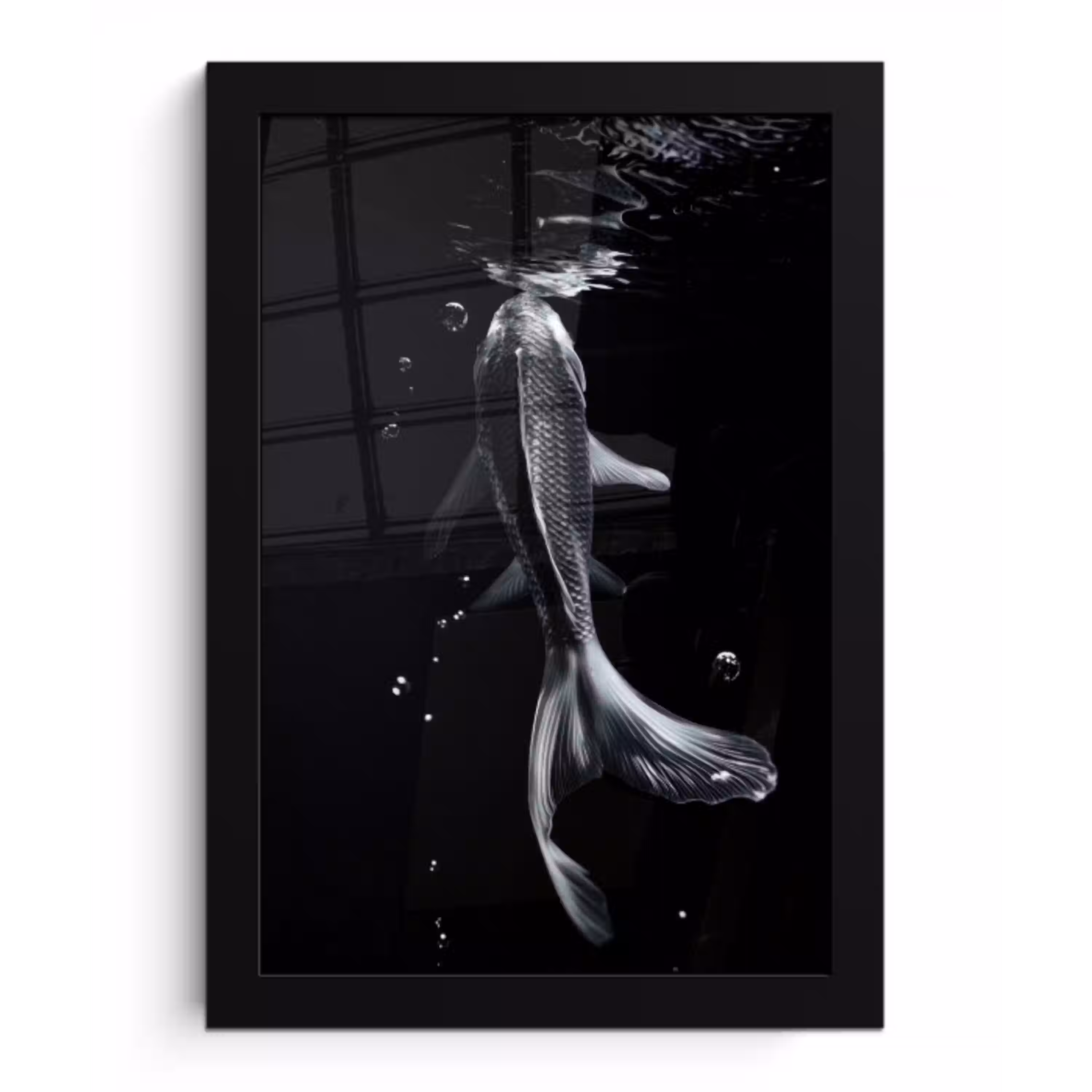 Koi - Vissen - Water - Zwart fotolijst zwart zonder passe partout klein -3d