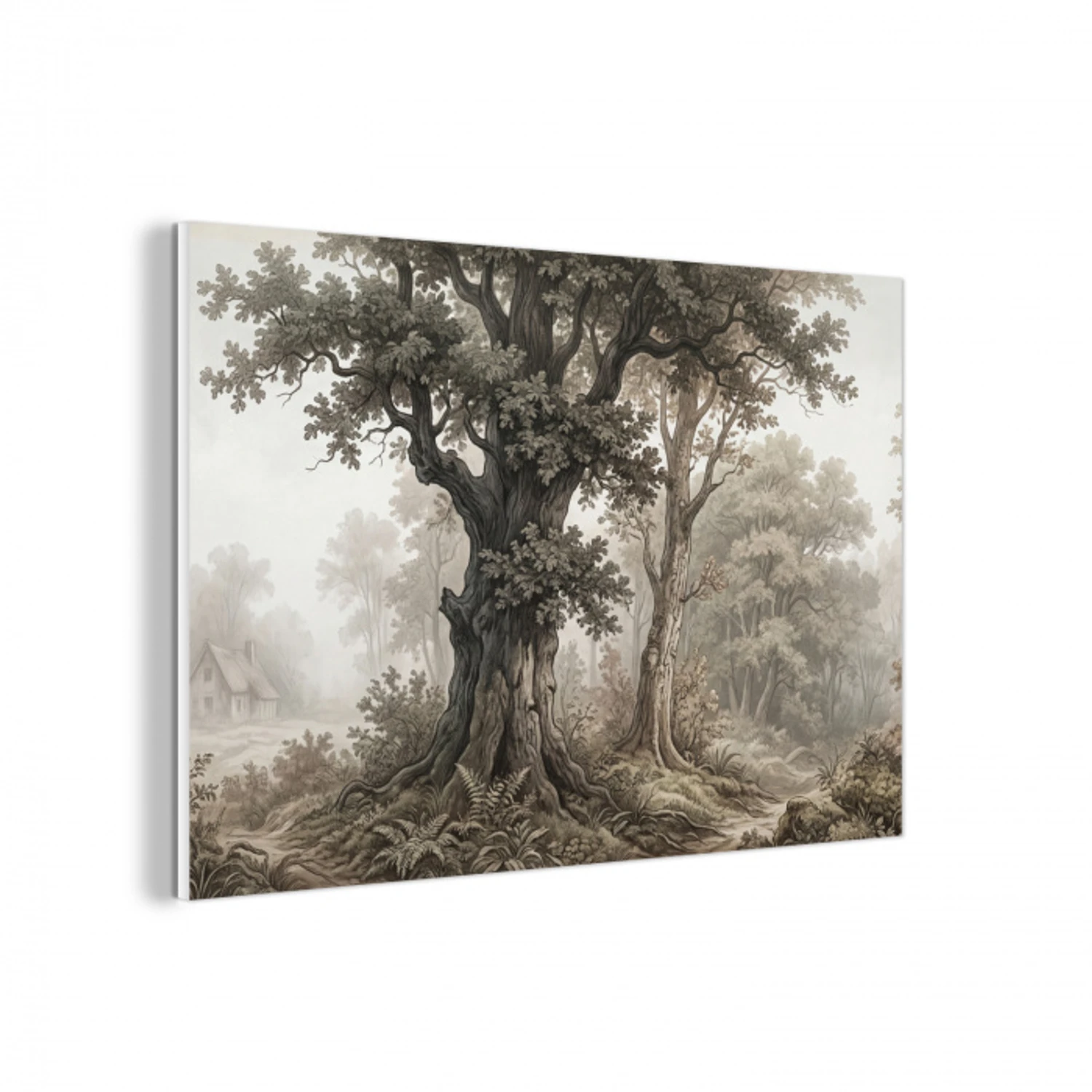 Natuur - Bos - Eik forex 5mm xxl -3d