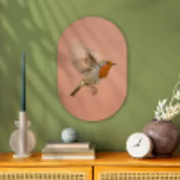 Roodborst - Natuur - Roze Wandcirkel Ovaal Forex klein -sfeer2