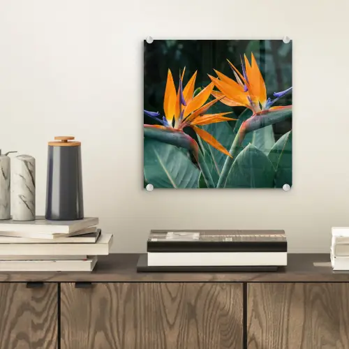 Paradijsvogel - Bloem - Exotisch plexiglas 5mm klein -sfeer1