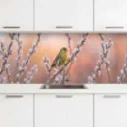 Groenling - Katjes - Lente - Natuur - Zacht keuken achterwand 2 middel -3d