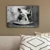 Varken - Schattig - Spaghetti - Zwart wit - Dier canvas 2cm klein -sfeer3