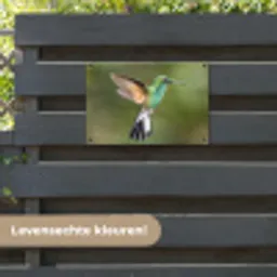 Kolibrie - Vogels - Veren tuinposter los doek klein -sfeer3