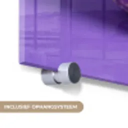 Disco - Eend - Paars plexiglas 5mm klein -zzsysteem_NL