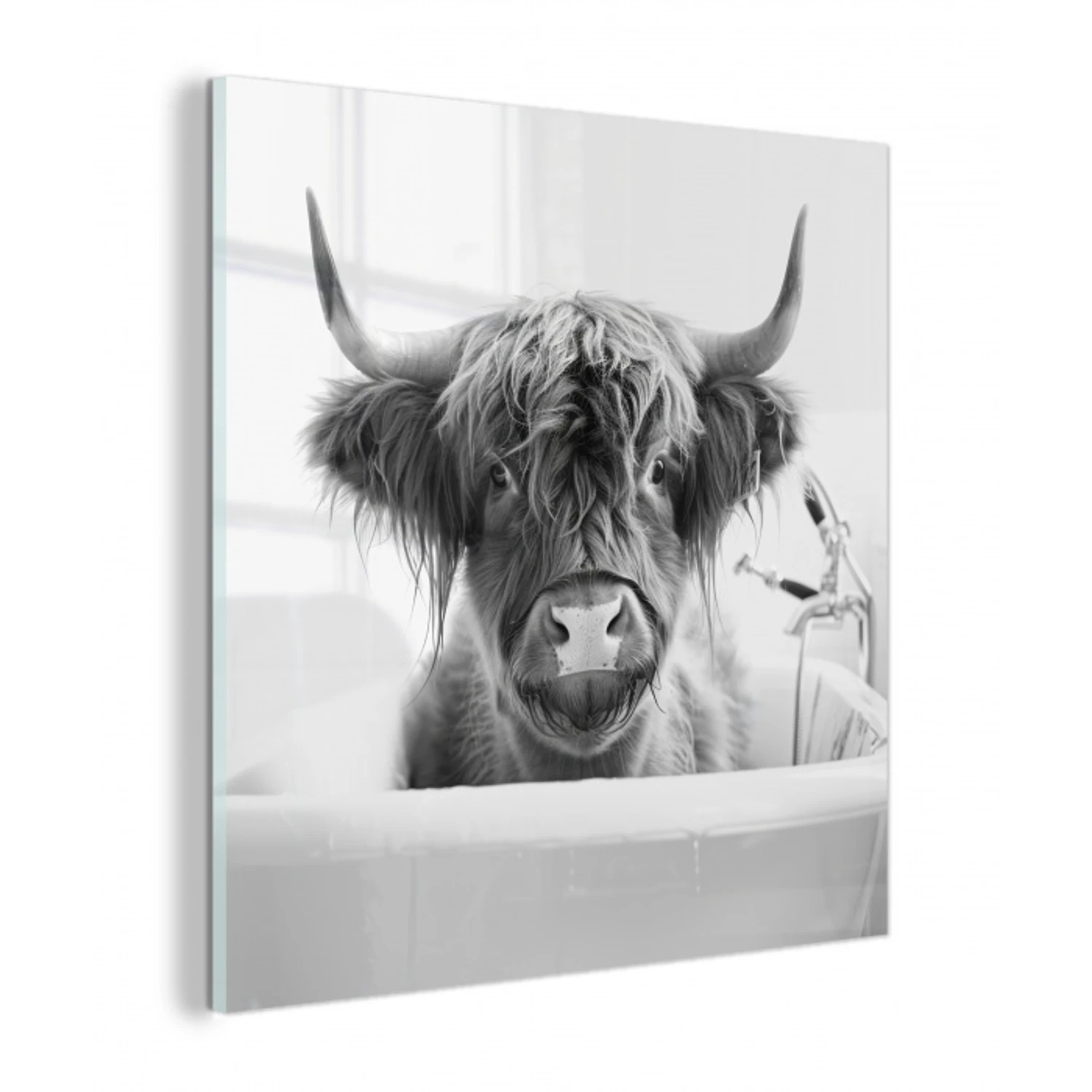 Schotse Hooglander - Koe - Bad - Zwart wit plexiglas 5mm klein -z3d