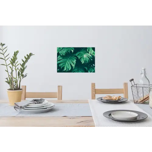 Monstera - Bladeren - Planten - Jungle - Natuur Muursticker klein -eettafel