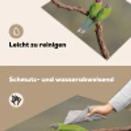 Papagaai - Tak - Natuur - Kleurrijk Inductie beschemer met haakjes klein -ky-schoon-de