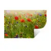 Lente - Bloemen - Rood - Klaproos - Gras - Groen Muursticker klein -3d
