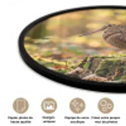 Houtsnip - Bos - Bladeren - Herfst - Gecamoufleerd Fotolijst rond zonder passe partout klein -closeup_FR