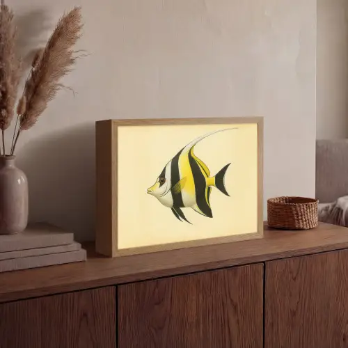 Vis - Sierlijk - Rugvin - Geel Light Box met batterij (Wandlamp) middel -sfeer2