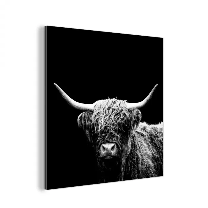 Schotse Hooglander - Koe - Zwart - Wit - Dieren aluminium wit klein -3d