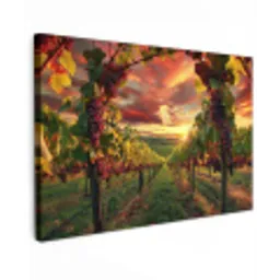 Wijngaard - Druiven - Zonsondergang Tuinposter op houten frame 2 cm dik klein -3d