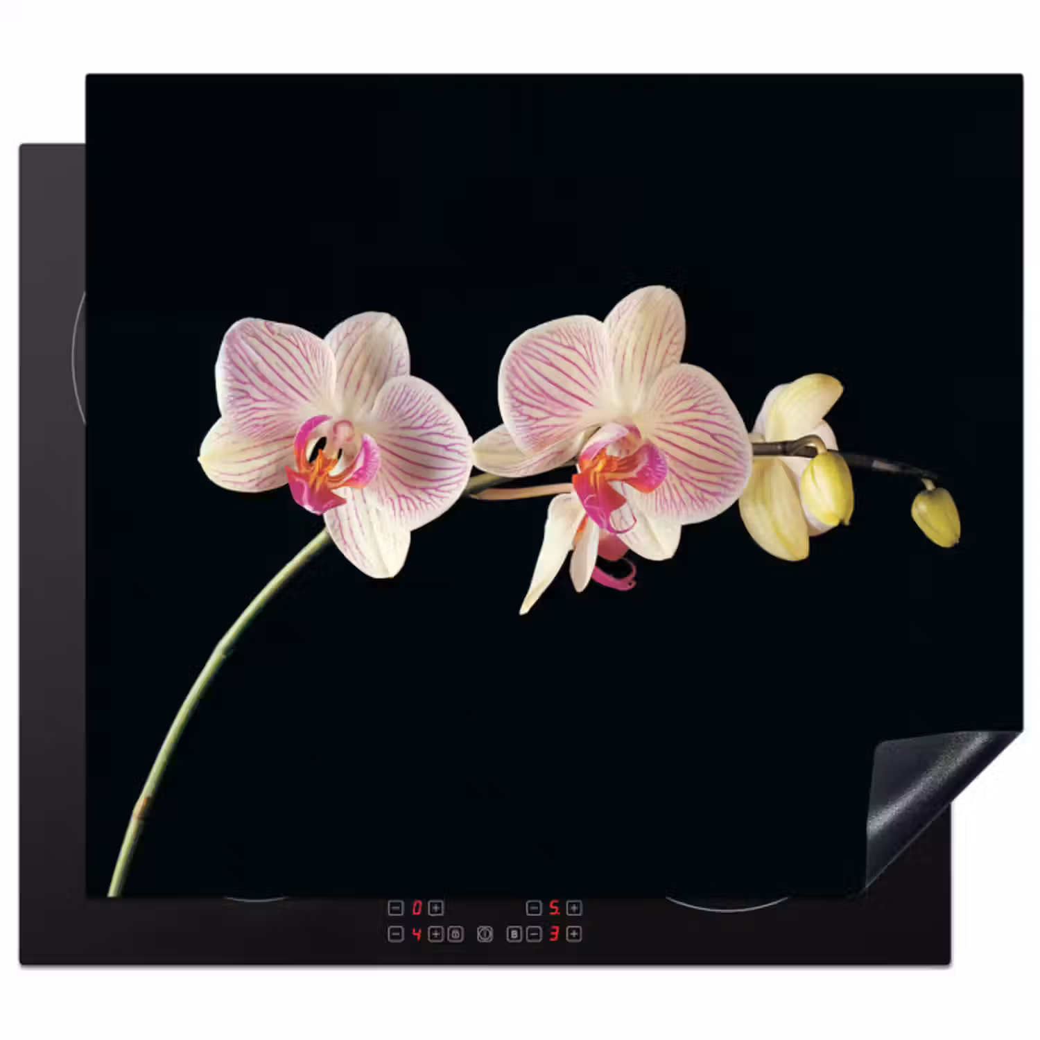 Inductie beschermer - Orchidee - Bloemen - Zwart - Roze - Knoppen