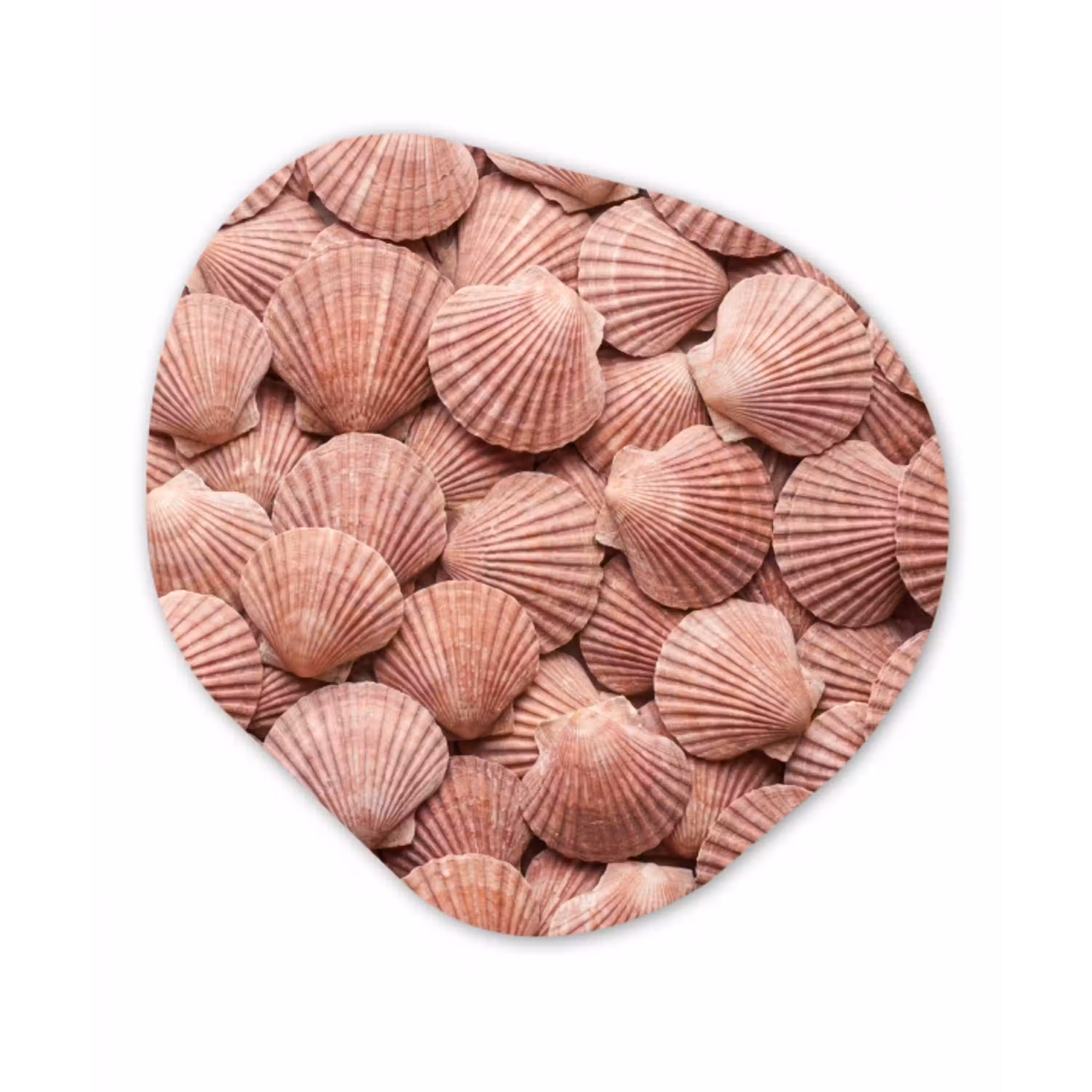 Schelpen - Patroon - Roze Wandcirkel Organisch Forex 3mm klein -3d