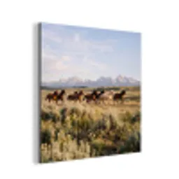 Paarden - Kudde - Bergen - Vrijheid - Wild aluminium wit klein -3d