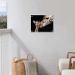 Giraffe - Dieren - Zwart - Portret - Dieren tuinposter los doek klein -sfeer8
