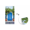 Citroenbomen - Geel - Deur - Potten fotobehang vinyl groot -3d