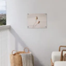 Papaverbollen - Droogbloemen - Minimalistisch - Beige - Rustig tuinposter los doek klein -sfeer8