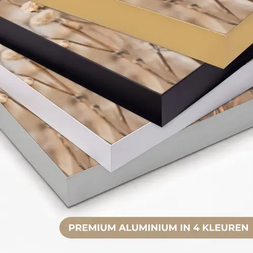 Droogbloemen - Beige - Bloemen - Natuur Textielframe zwart klein -USP_kleurenNL