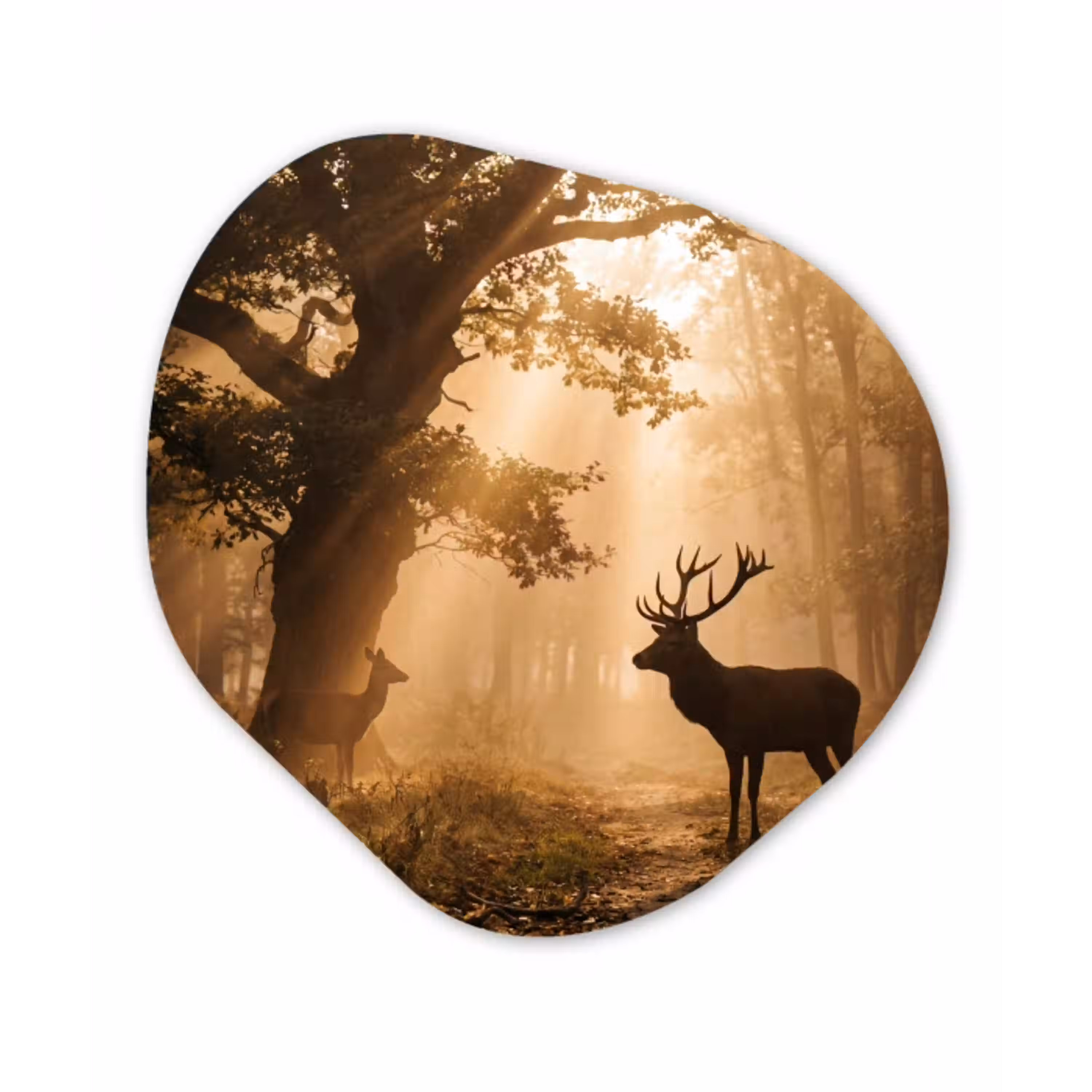 Hert - Bos - Mistig - Natuur - Goud Wandcirkel Organisch Aluminium middel -3d