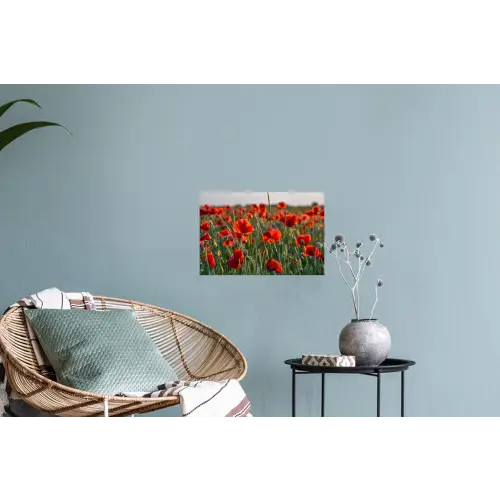 Bloemen - Klaprozen - Natuur - Rood Muursticker klein -plant