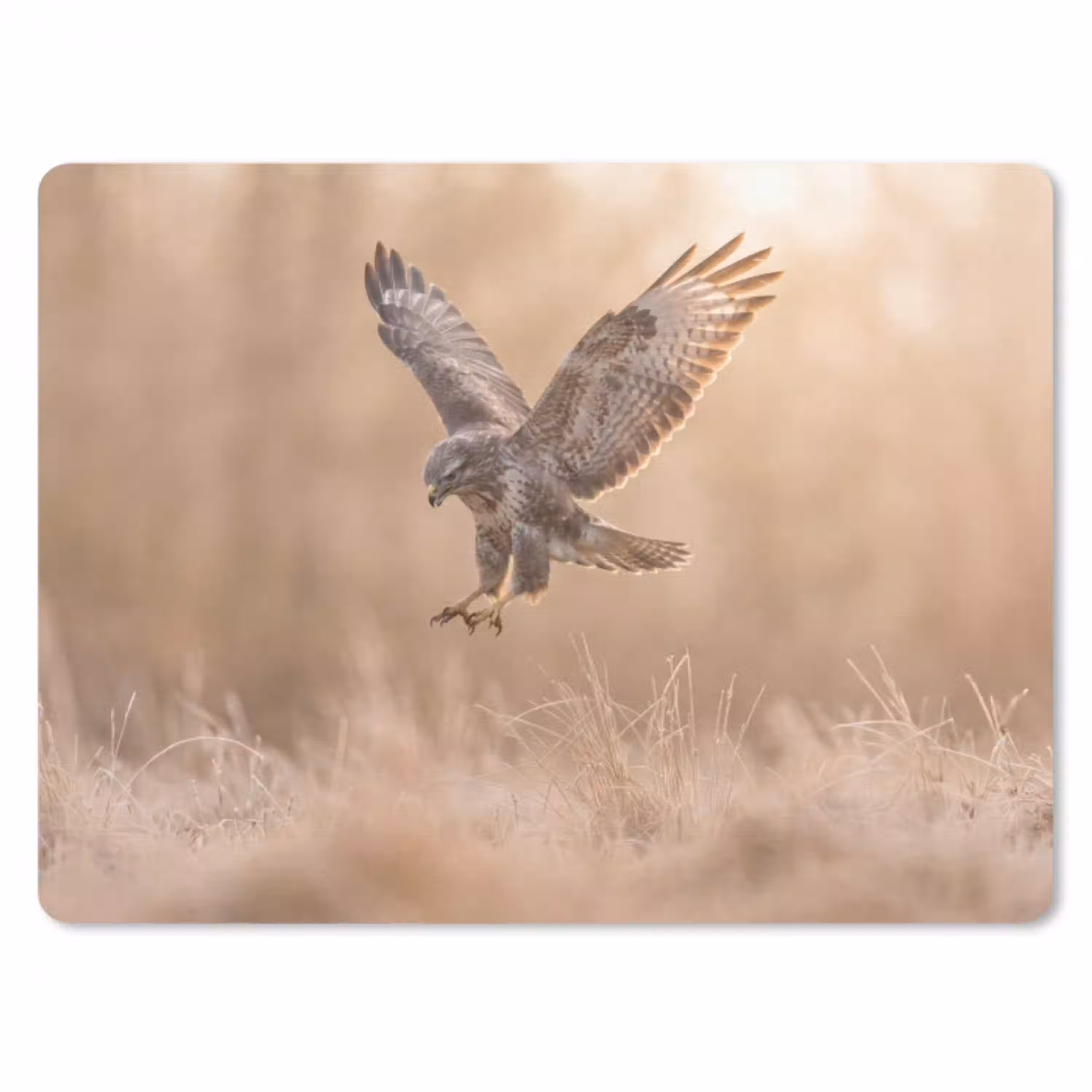 Buizerd - Roofvogel - Natuur - Bruin muismat rubber klein -3d
