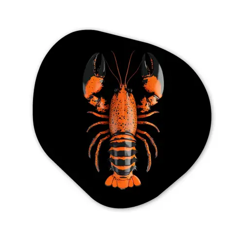 Kreeft - Oranje - Zwart - Modern Wandcirkel Organisch Plexiglas middel -3d
