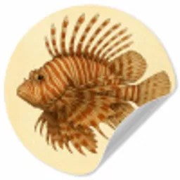Strepen - Vis - Rond - Stekels Wandcirkel behangsticker klein -3d