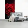 Rood - Roos - Romantisch fotobehang vinyl groot -slaapkamer