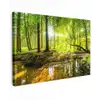 Zonnestralen in een groen bos Tuinposter op houten frame 2 cm dik klein -3d