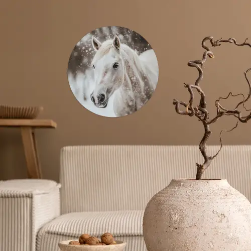Paard - Wit - Winter - Natuur - Sneeuw - Dieren Wandcirkel behangsticker klein -sfeer1