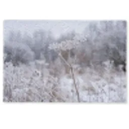 Schermbloem - Rijp - Kristallen - Winter - Delicaat Deurmat klein -zkaufland3d