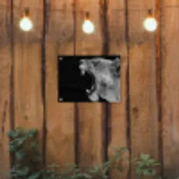 Dieren - Leeuw - Zwart - Wit - Portret tuinposter los doek klein -sfeer1
