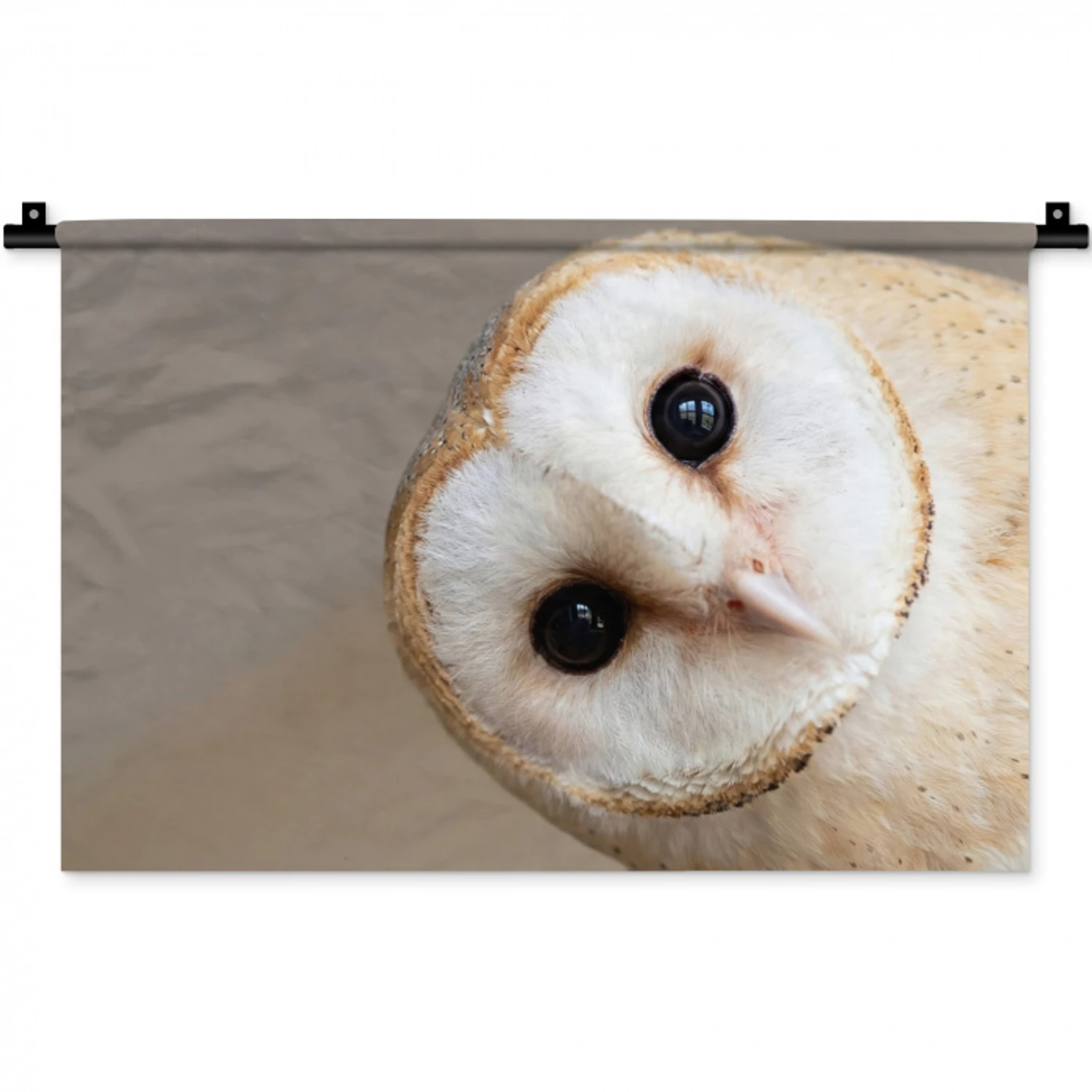 Uil - Bruin - Wit Wandkleed katoen klein -zz3d