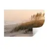 Duinlandschap - Zonsondergang - Strand Muursticker klein -3d