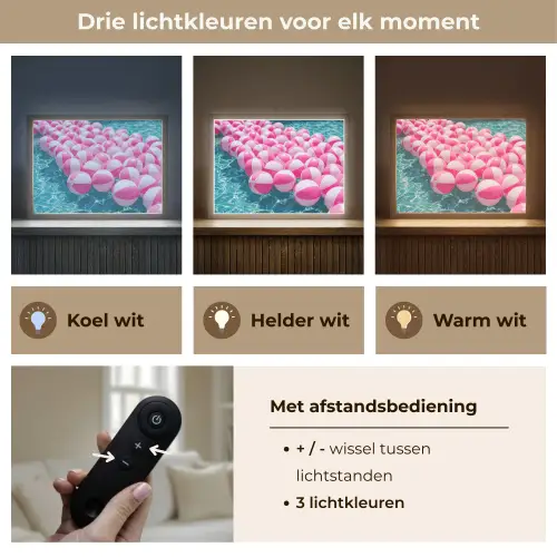 Strandballen - Roze - Water Light Box met batterij (Wandlamp) middel -USP_lichtkleurNL