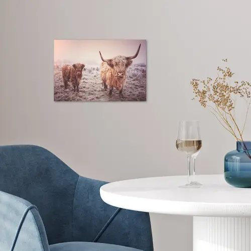 Schotse hooglanders - Licht - Lucht - Natuur poster papier klein -sfeer3
