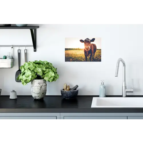 Koe - Zonsondergang - Bloemen - Gras - Dieren Muursticker klein -keuken