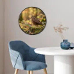 Houtsnip - Bos - Bladeren - Herfst - Gecamoufleerd Fotolijst rond zonder passe partout klein -sfeer2