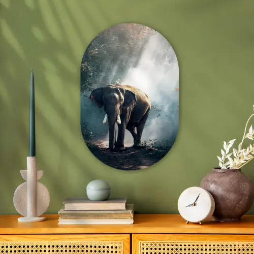 Olifant - Dieren - Licht - Bos - Natuur - Wilde dieren Wandcirkel Ovaal Forex klein -sfeer2