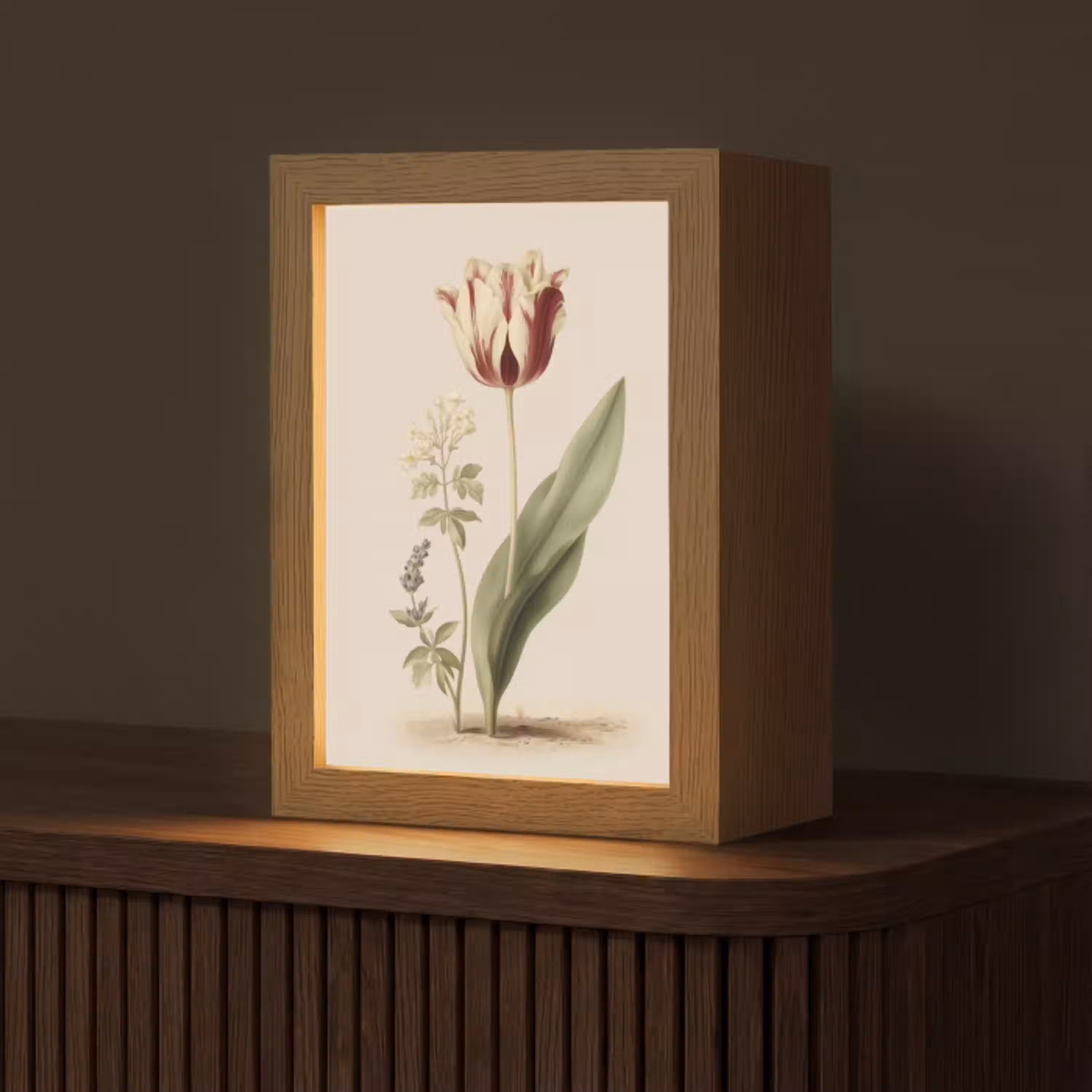 Tulp - Minimalistisch - Beige Light Box met kabel (Tafellamp) klein -z3d_website