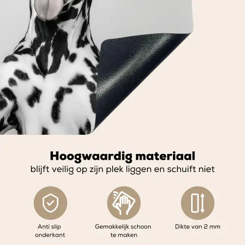 Zonnebril - Dalmatiër - Wijnglas - Tong Inductie beschemer met haakjes middel -ky-onderkant-nl