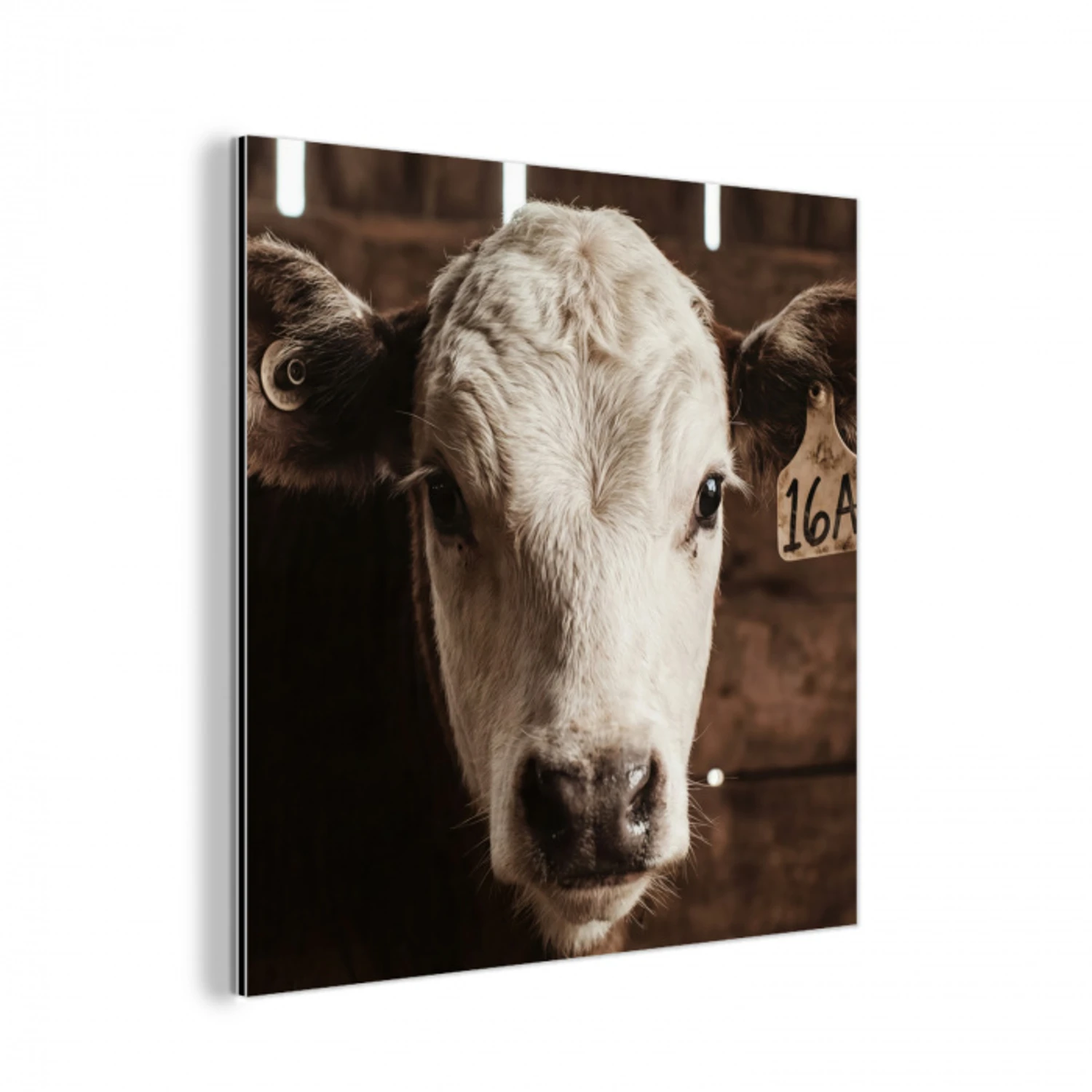 Kalf - Oormerk - Houten stal aluminium wit klein -3d