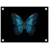 Vlinder - Blauw - Contrast tuinposter los doek klein -3d