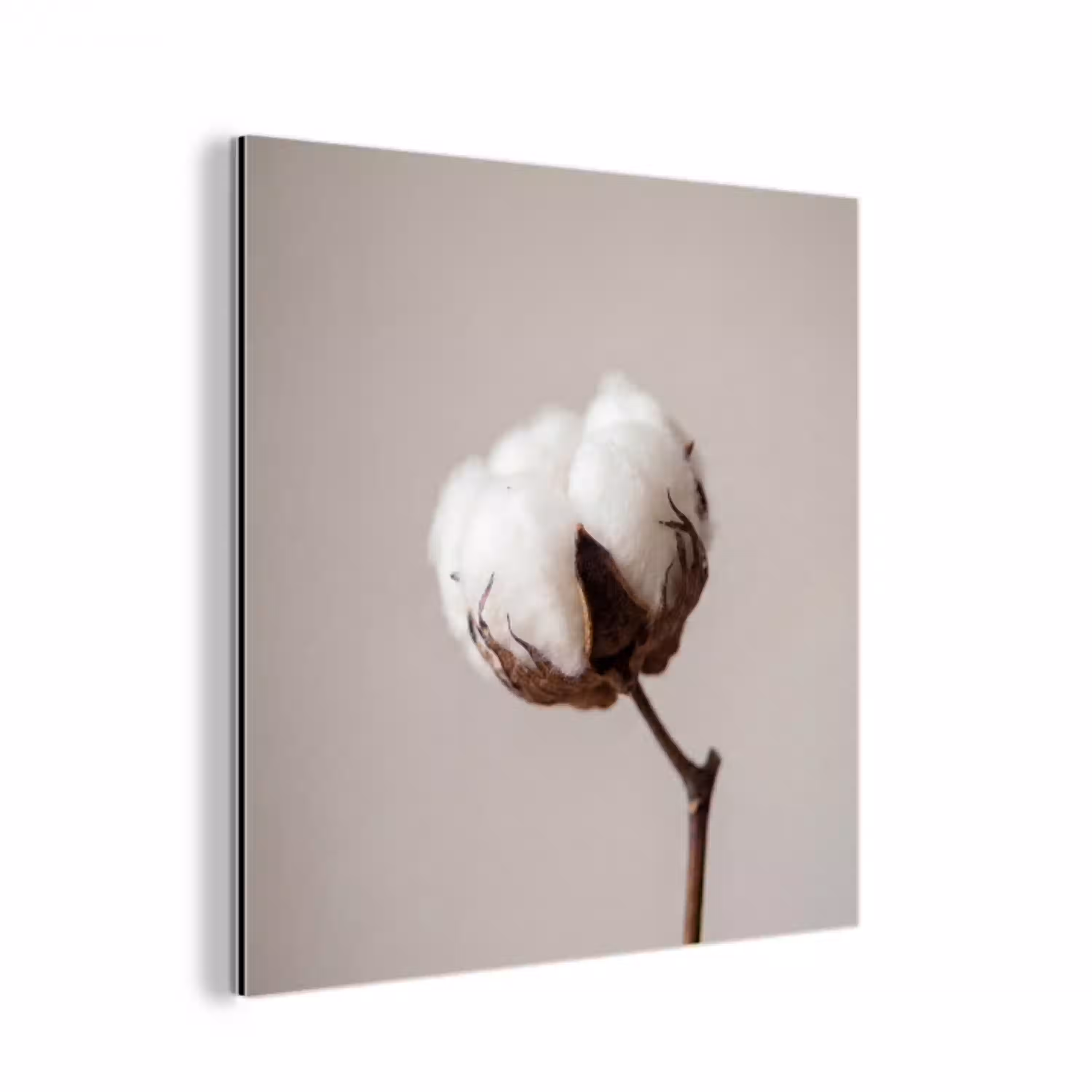 Katoenbol - Minimalistisch - Wit aluminium wit klein -3d